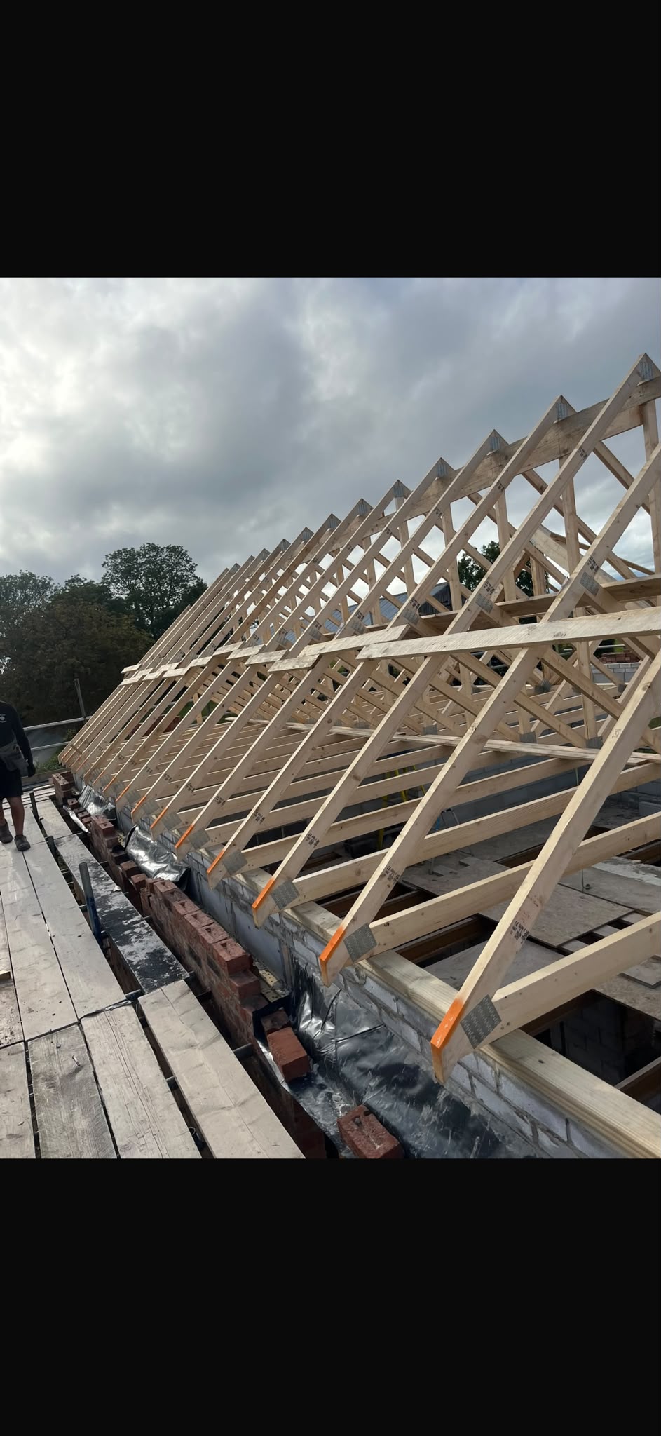 Timber roof framing during construction